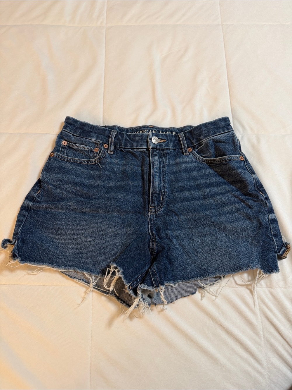 American Eagle Outfitters Denim Cutoff Shorts